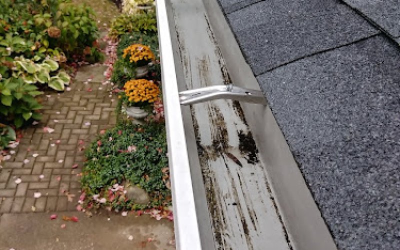Murphy's Gutter and Roof Cleaning