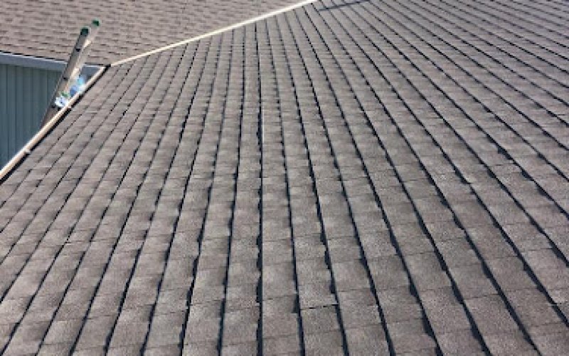 Dynamic Roofing INC