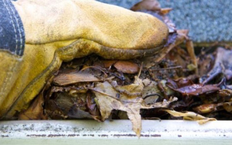 The Gutter Cleaning Company — Gutter cleaning service in Aurora