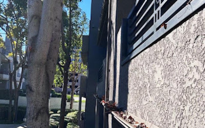 Butter Gutters