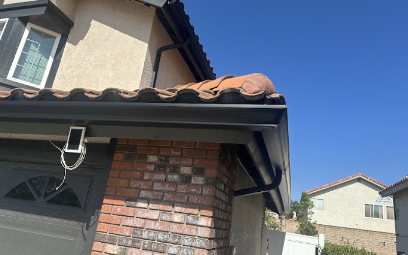 Simply Gutters