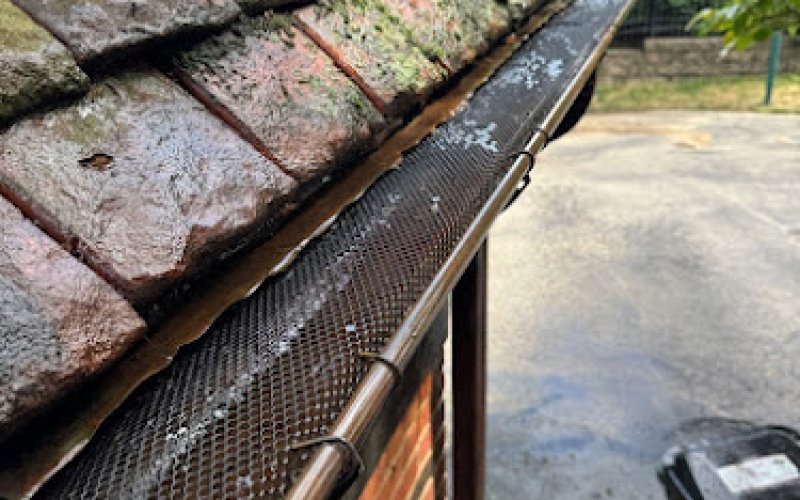 The Brothers That Just Do Gutters