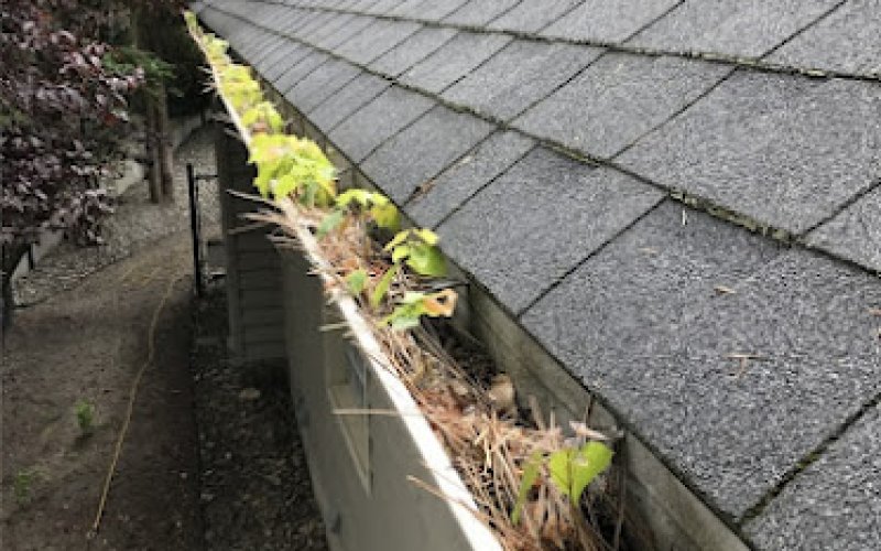 247 gutter cleaning