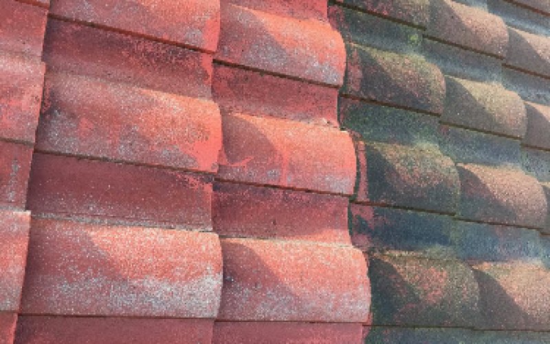 Rain Gutter Cleaning Professionals