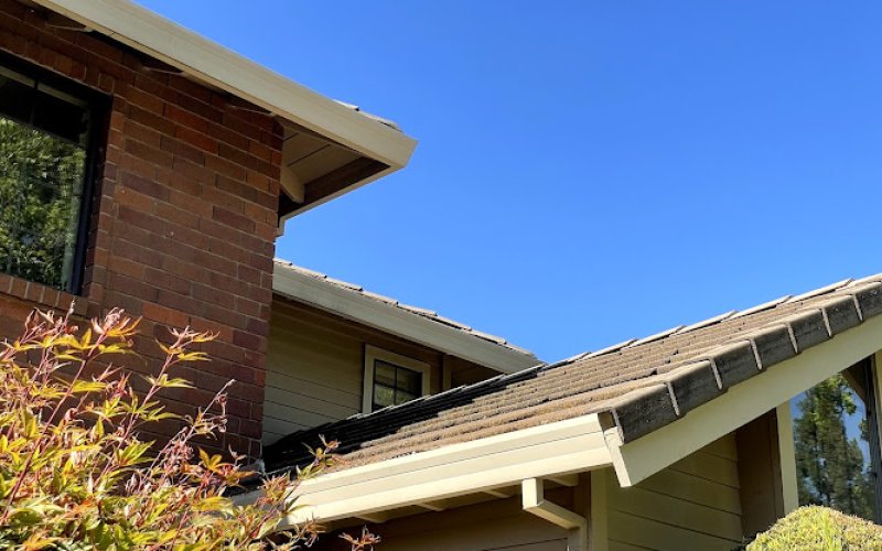 Pinnacle Pressure Washing & Roof Cleaning