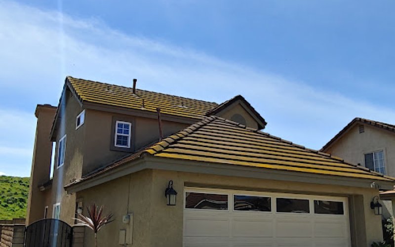 Loyal Exterior Cleaning