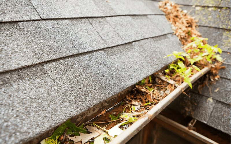Hampton Gutters