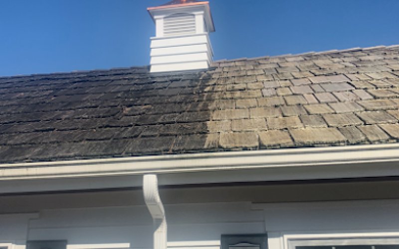 Experienced Roof & Gutter Cleaning