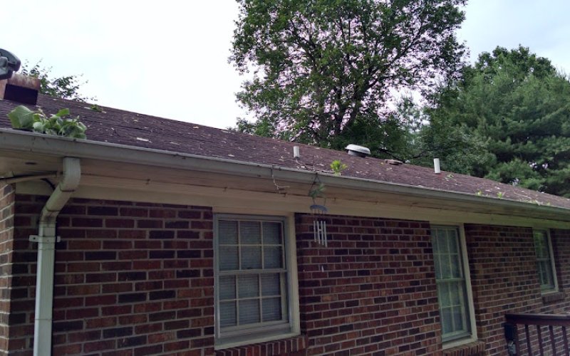 Leaf Relief Gutter Cleaning LLC
