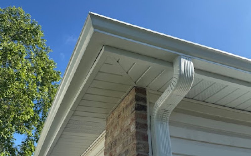 Turtle Shell Gutter Protection — Gutter service in Naperville