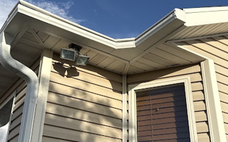 Leafguard Gutter Protection