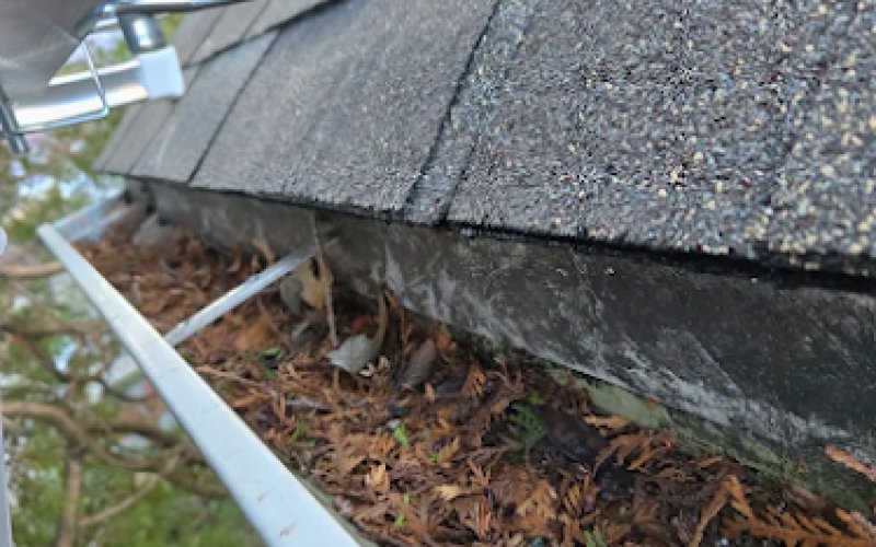 PK Gutter Fascia Soffit Repair — Gutter service in South Elgin