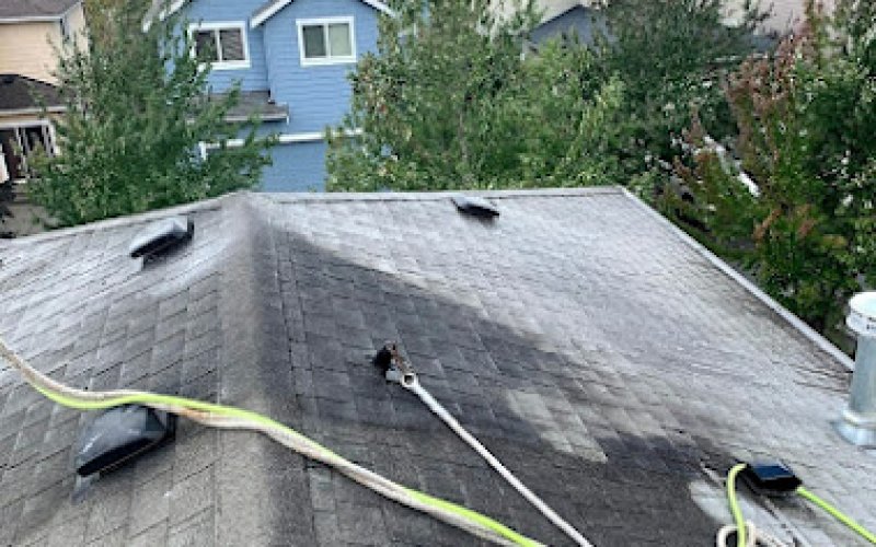 Experienced Roof & Gutter Cleaning - Tacoma